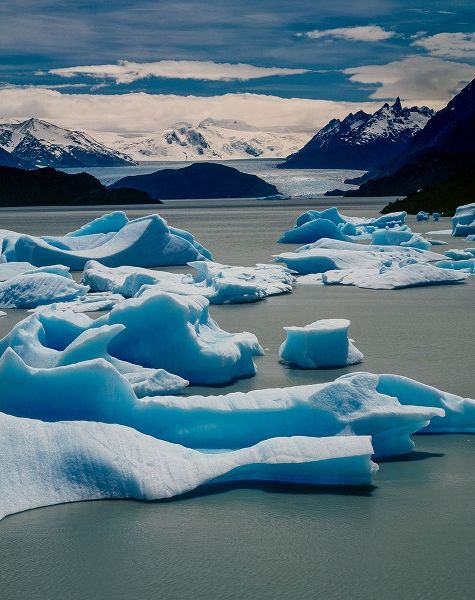 Icebergs and glacier-Lago Gray-Torres Del Paine National Park-Patagonia-Chile